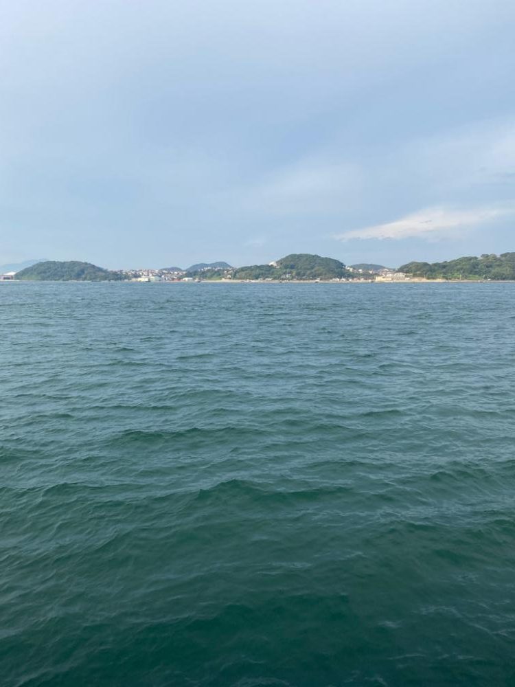 アオリ、カワハギ