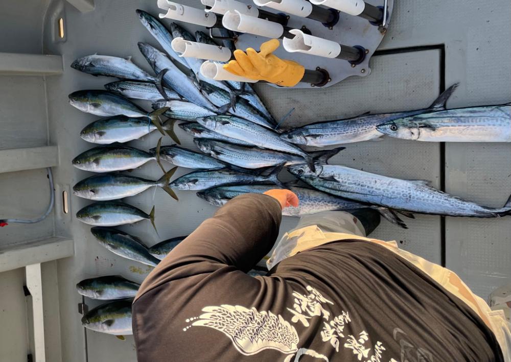 丹後沖ジギング