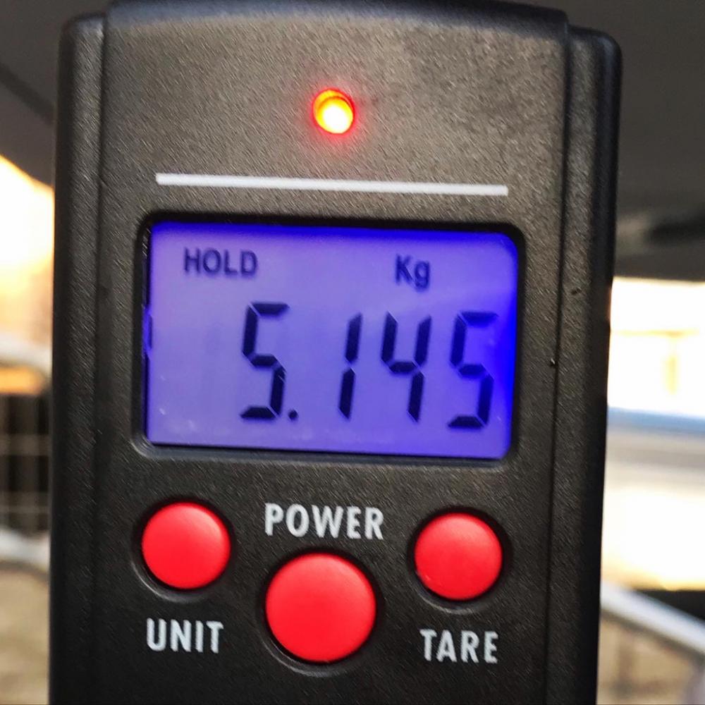 自己記録更新！コレぞ、海のチーター！