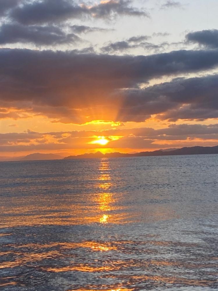 ゲソ１本掛かり