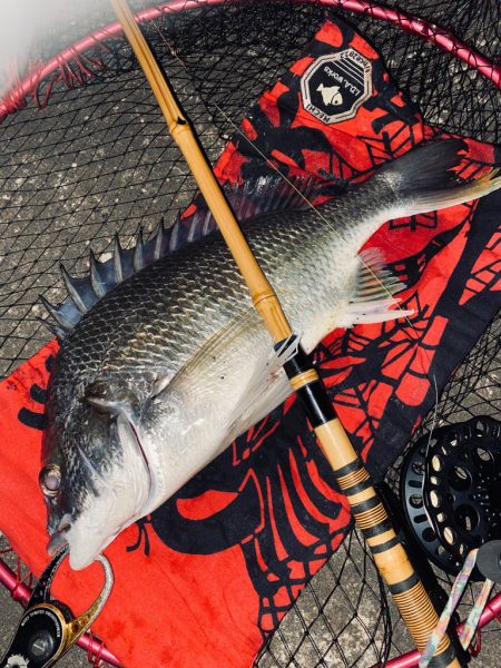 ヘチってきました