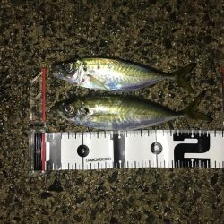 仕事終わりにPart2