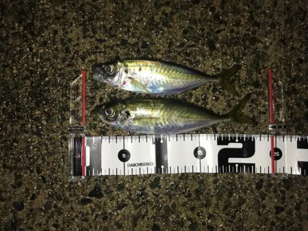 仕事終わりにPart2