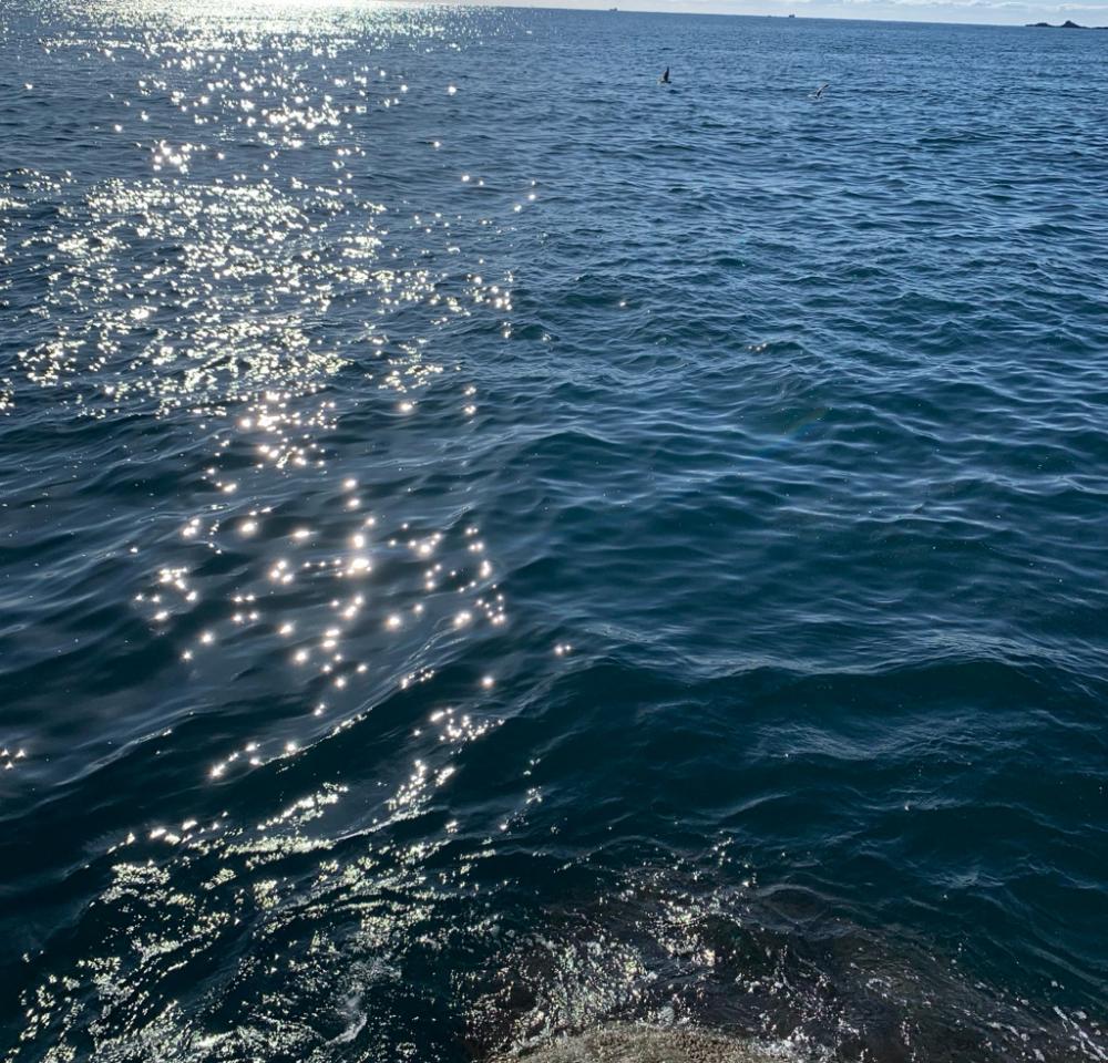 人生初の串本釣行