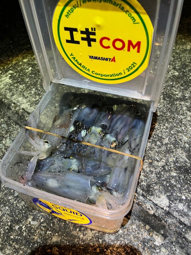 ヒイカ調査③(^.^)