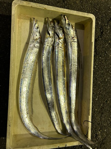 タチウオ釣りは楽しいね