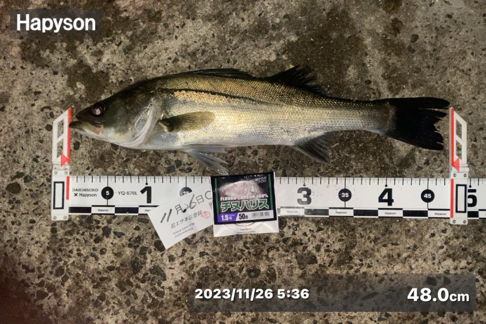 久しぶりの良い天気の釣り日和