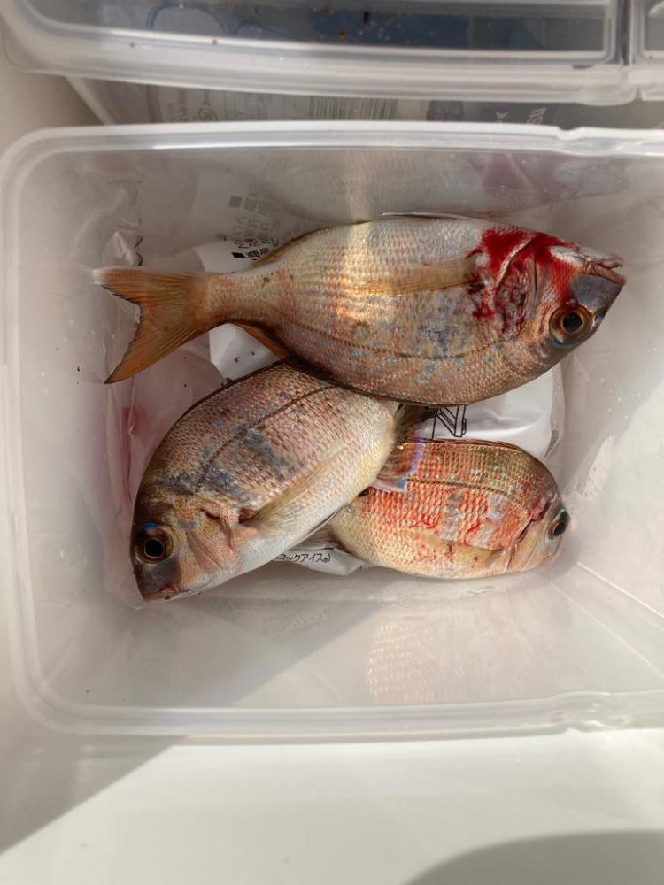 東二見〜赤灯台釣行!