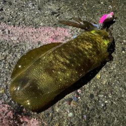 満潮潮止まりの夕まづめに