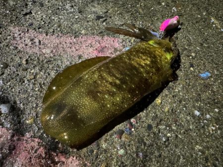 満潮潮止まりの夕まづめに