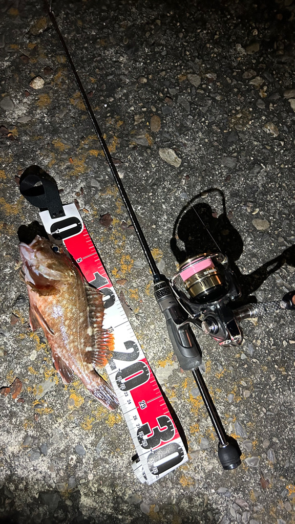 不調の中の癒し