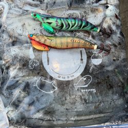 ラストティップラン