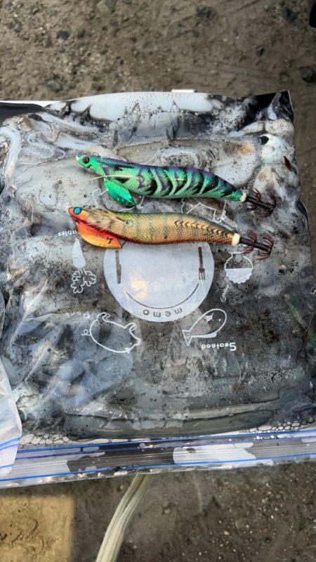 ラストティップラン