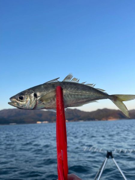 にぎわっていました！