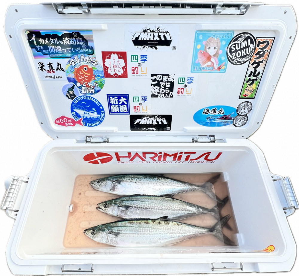 サワラ/ブレードジギング