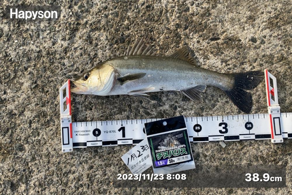 気温差が激しい日