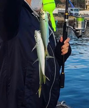 超初心者の釣り記録🎣⑤