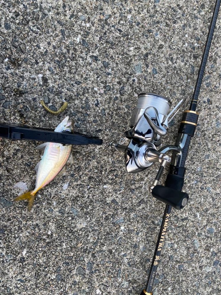 連続デイアジング