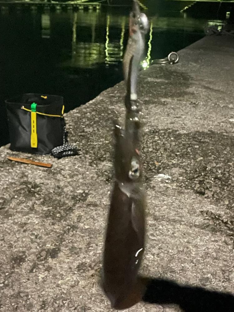 周防大島二日目