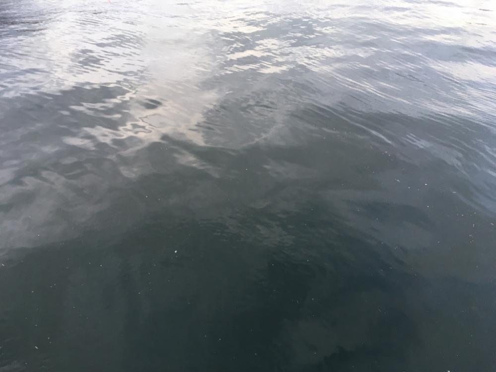 雰囲気だけはある