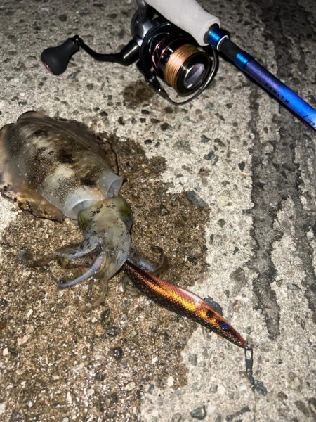 ナイトエギング🦑