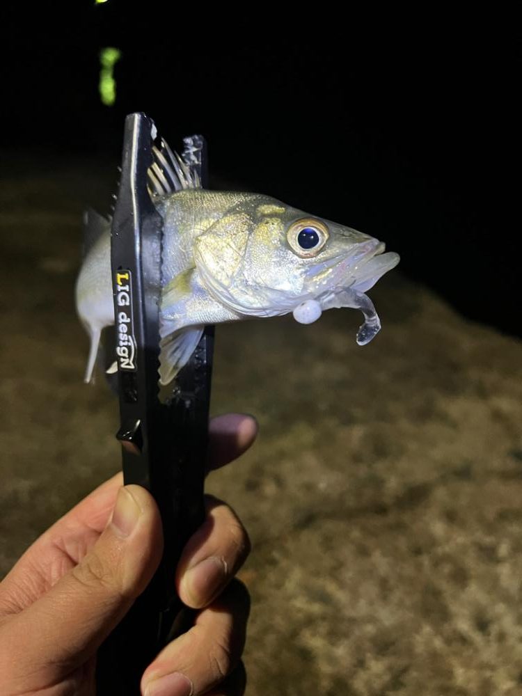 のべ竿 ライトゲーム