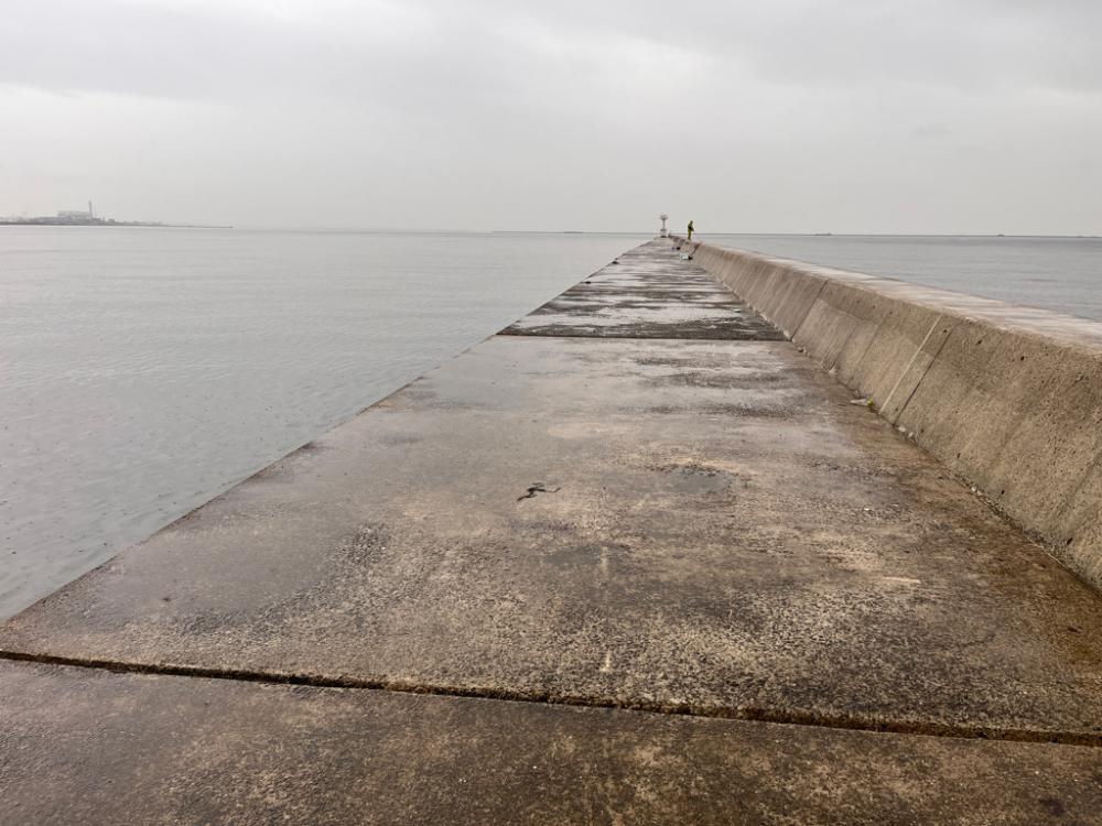 マイクロベイトパターン攻略できず