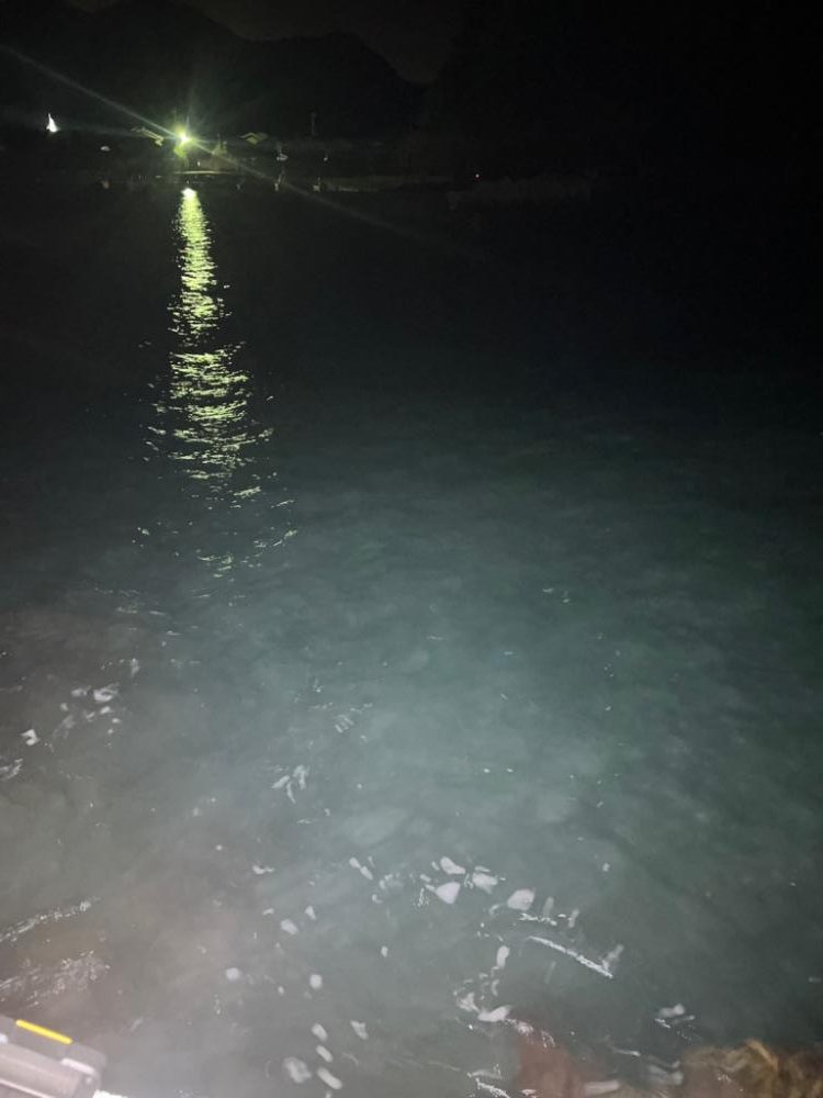 メバルを探しに