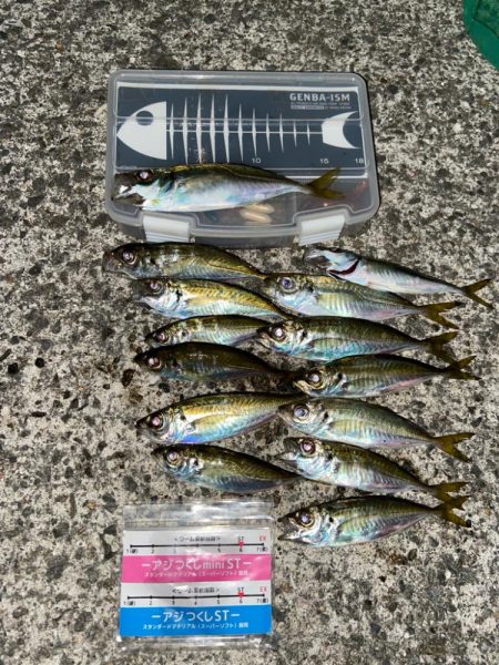 小島養魚場でアジング