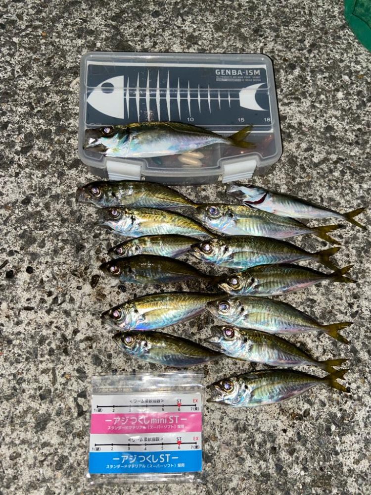 小島養魚場でアジング