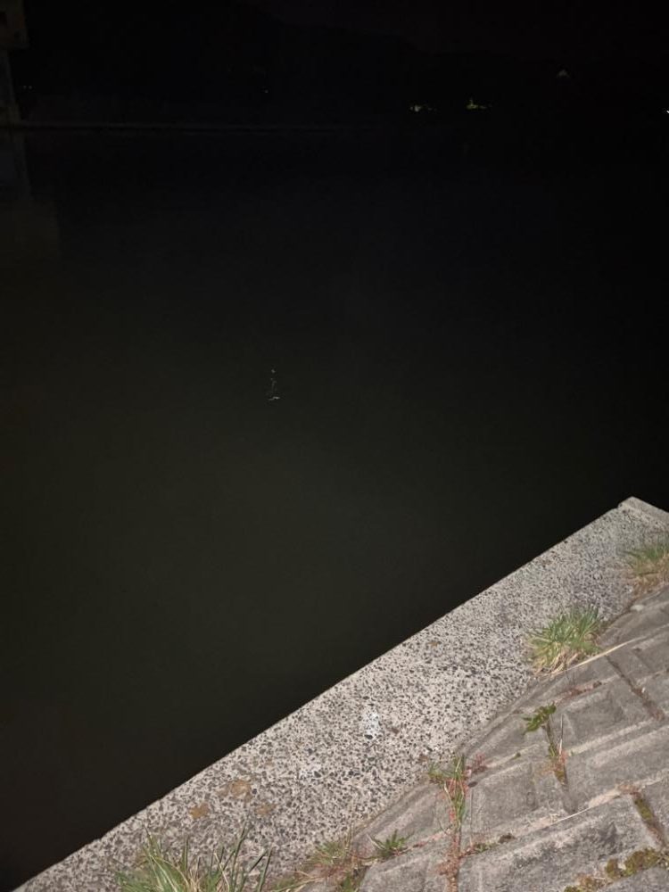 ブローウィン125fの日