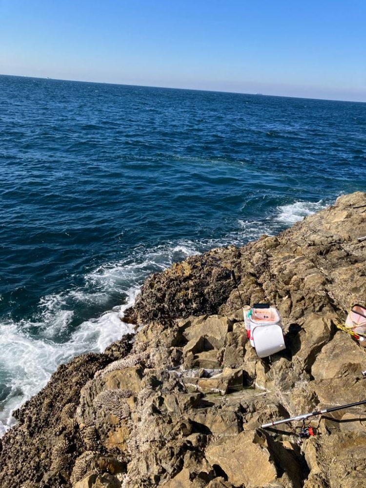 磯フカセ釣り