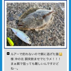 胴突き仕掛けでヒラメにゃ！