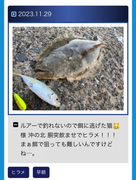 胴突き仕掛けでヒラメにゃ！