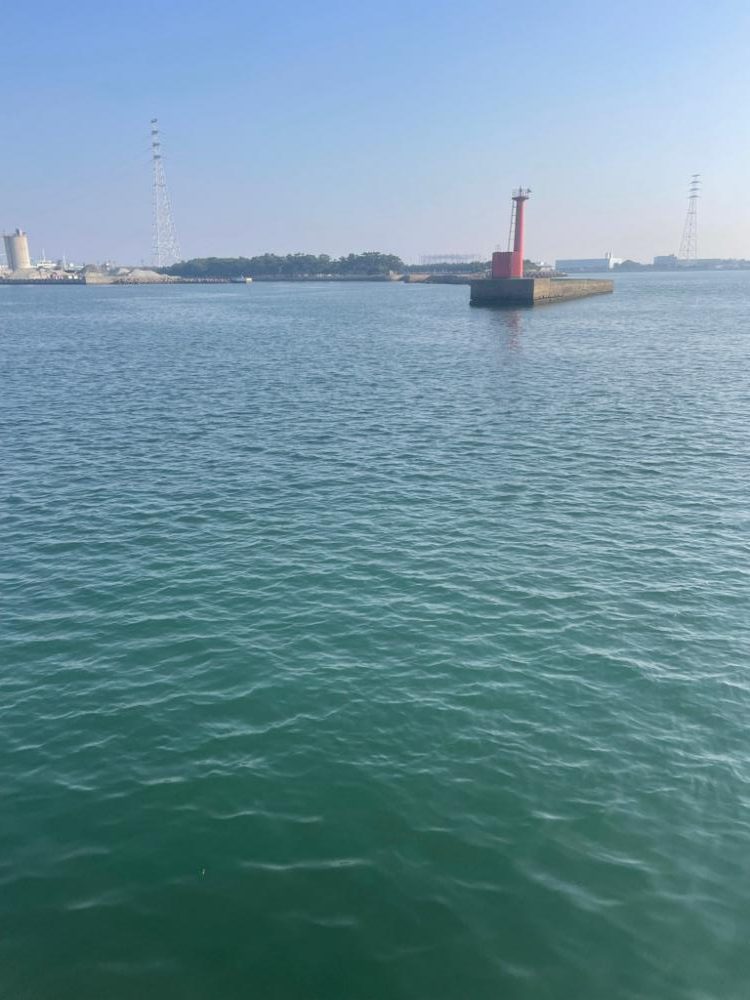 フラットフィッシュ