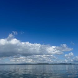 久々の筏釣りで爆釣！