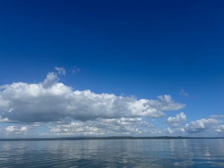 久々の筏釣りで爆釣！