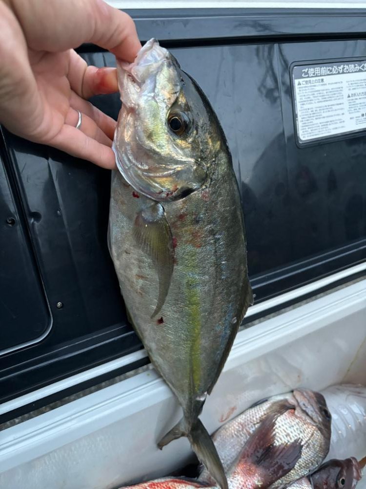 美浜フィッシングパーク