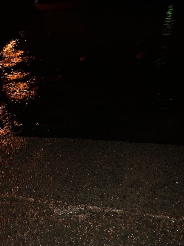 セイゴの釣り方