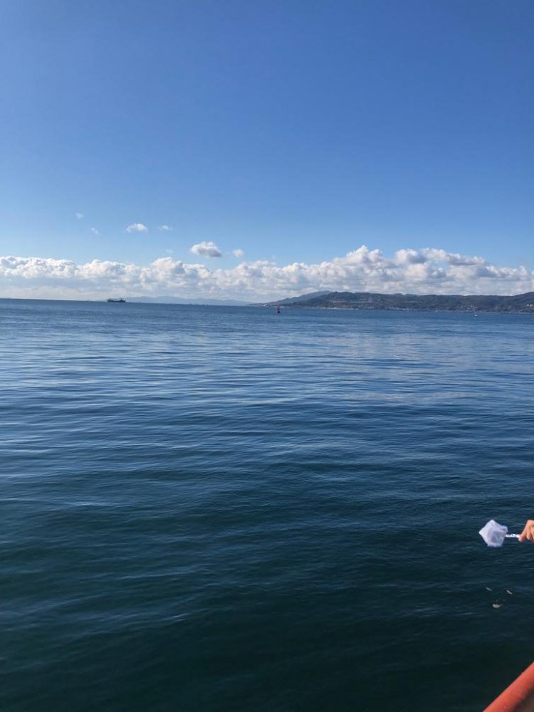 暖かい日差しでは魚も元気