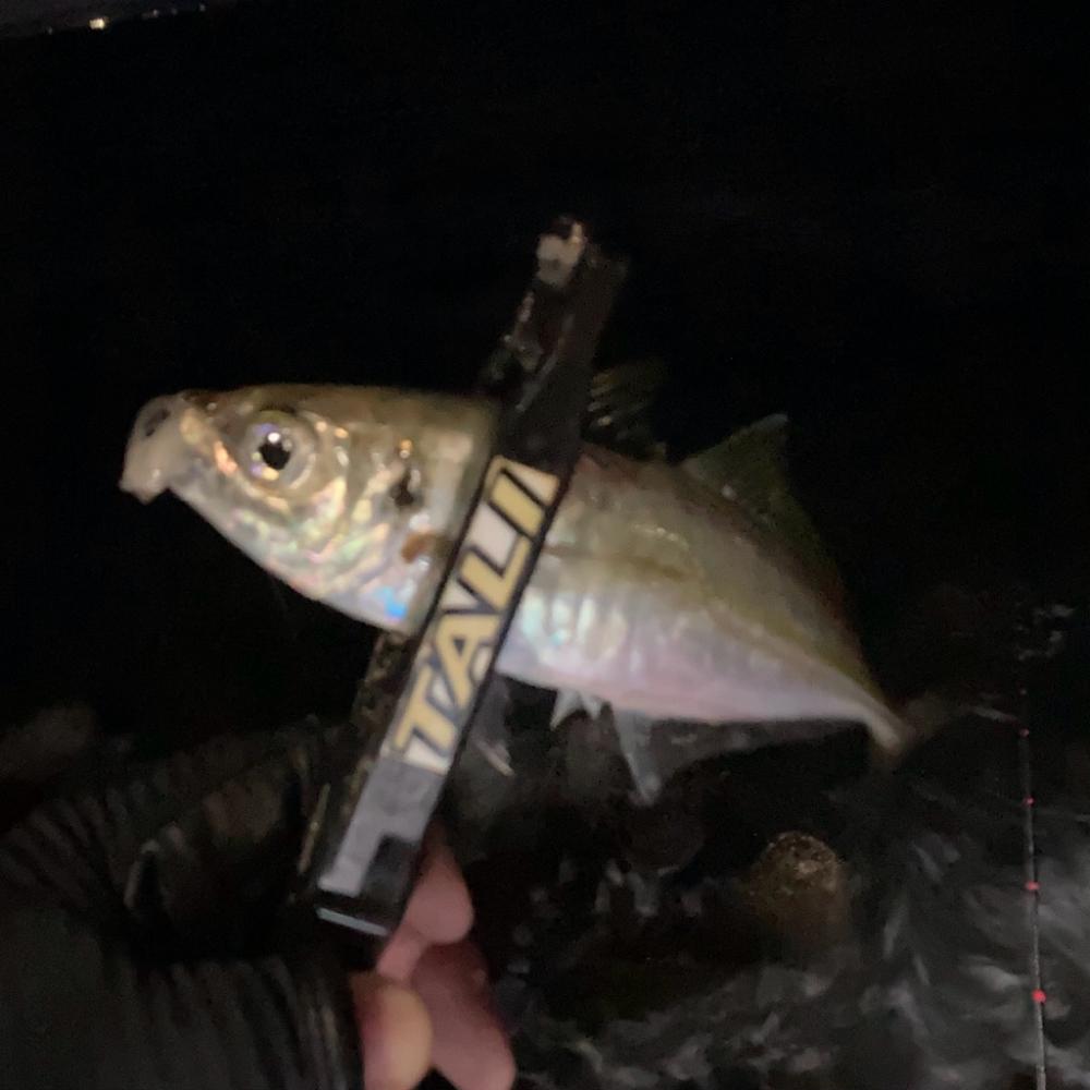 フロートアジング