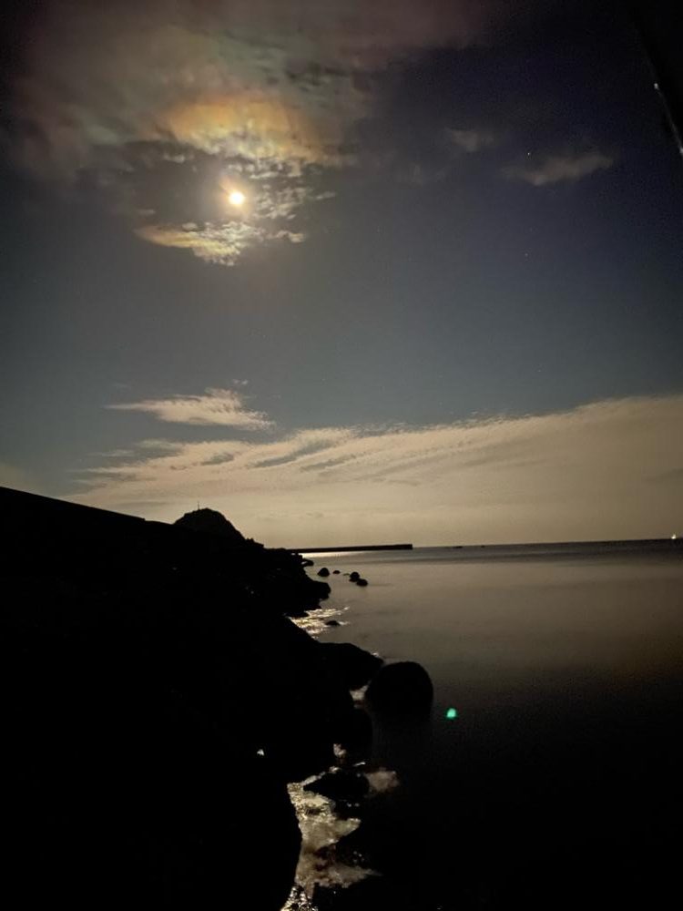 おひさのエギング