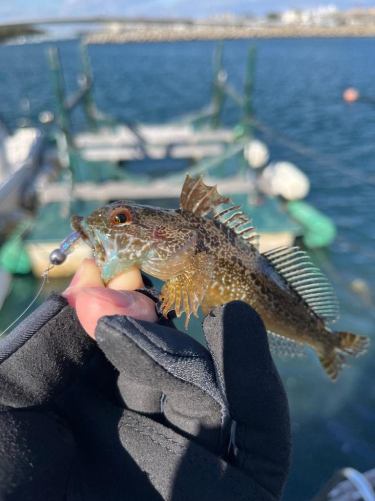 30分デイゲーム