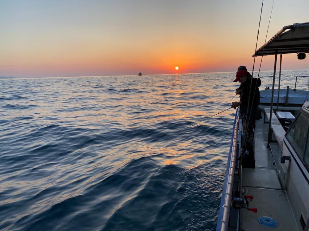 鯛からのアオリイカ