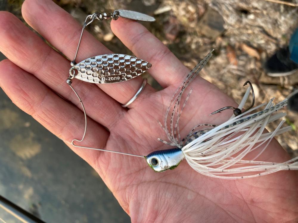 スピナーベイトで55cm