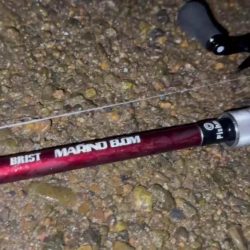 【リバーシーバス】