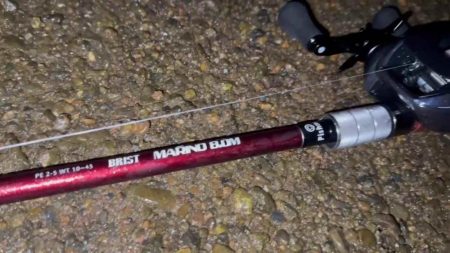 【リバーシーバス】