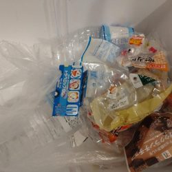 清掃活動：激渋の中での価値ある魚