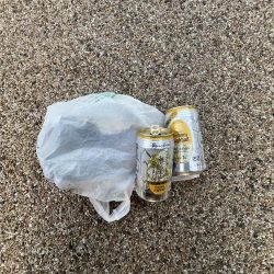 清掃活動：陸は紅葉海はカレイ