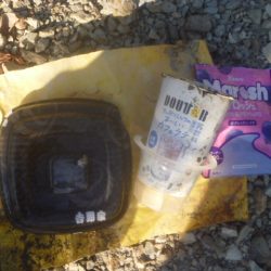 清掃活動：11月バス